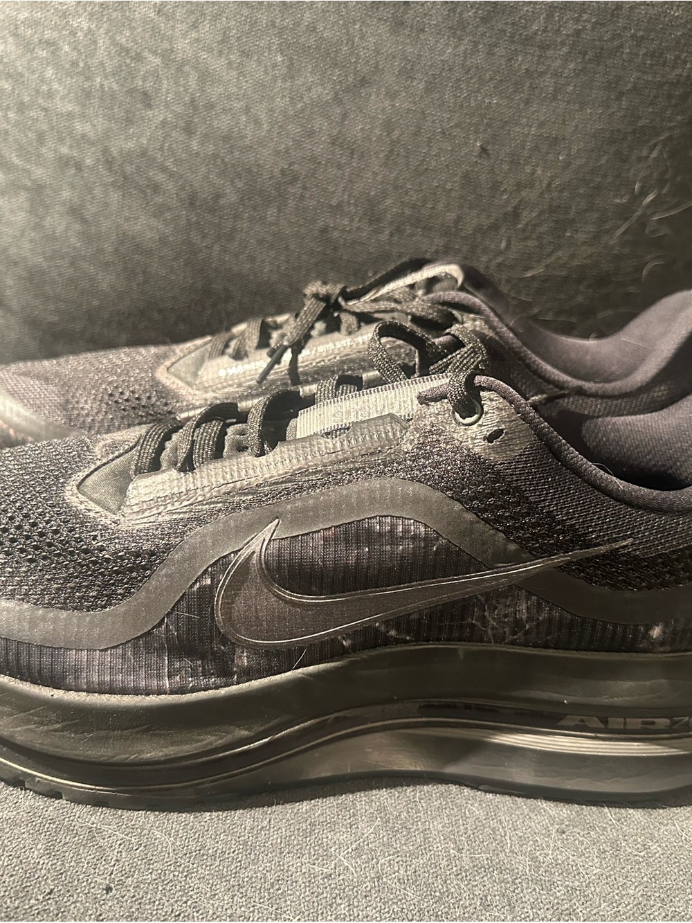 Nike Men’s Pegasus Premium